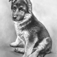 Схема вышивки «Щенок»