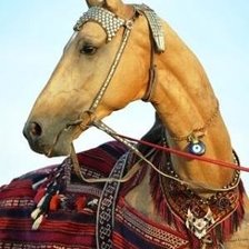 Схема вышивки «523»