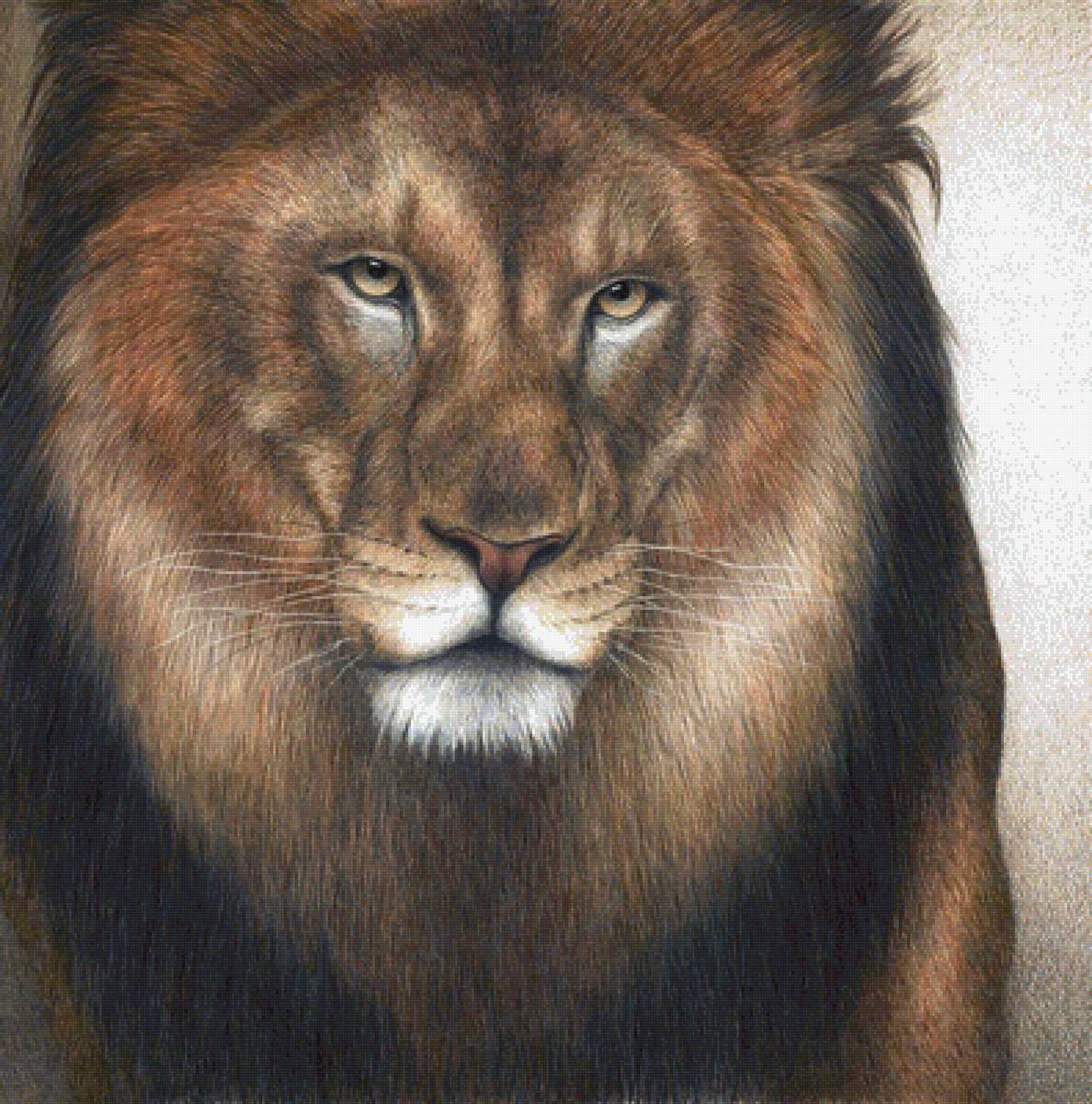 лев - мир животных - предпросмотр