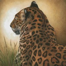 мир животных