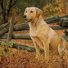 Схема вышивки «Man's Best Friend.»