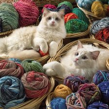 Схема вышивки «Ragdolls.»