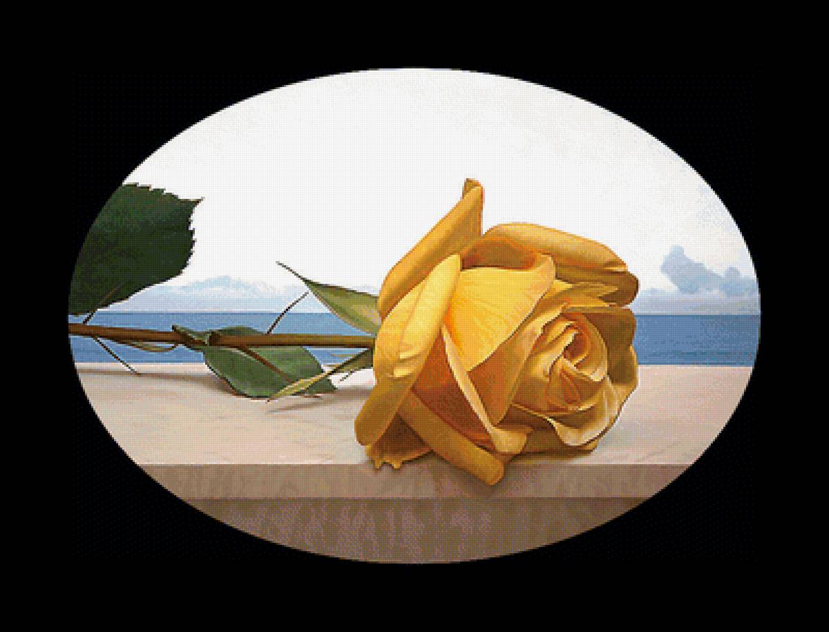 Серия "Розы". - флора, розы, цветы - предпросмотр