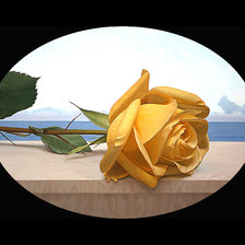 Схема вышивки «Серия "Розы".»