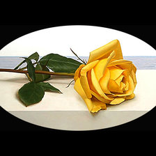 Схема вышивки «Серия "Розы".»