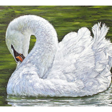 Схема вышивки «Серия "Птицы". Лебедь»