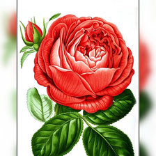 Схема вышивки «№1940299»