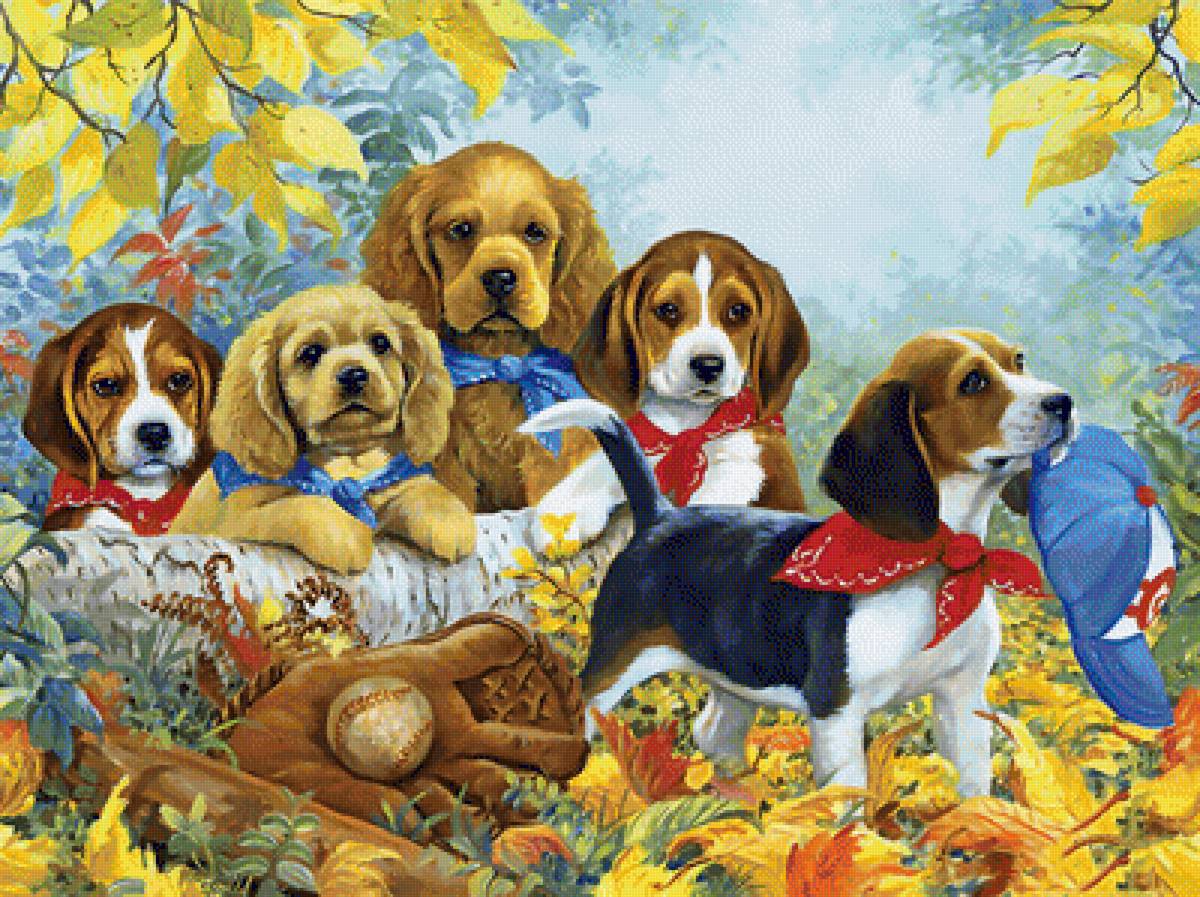 №1940308 - собаки, животные - предпросмотр