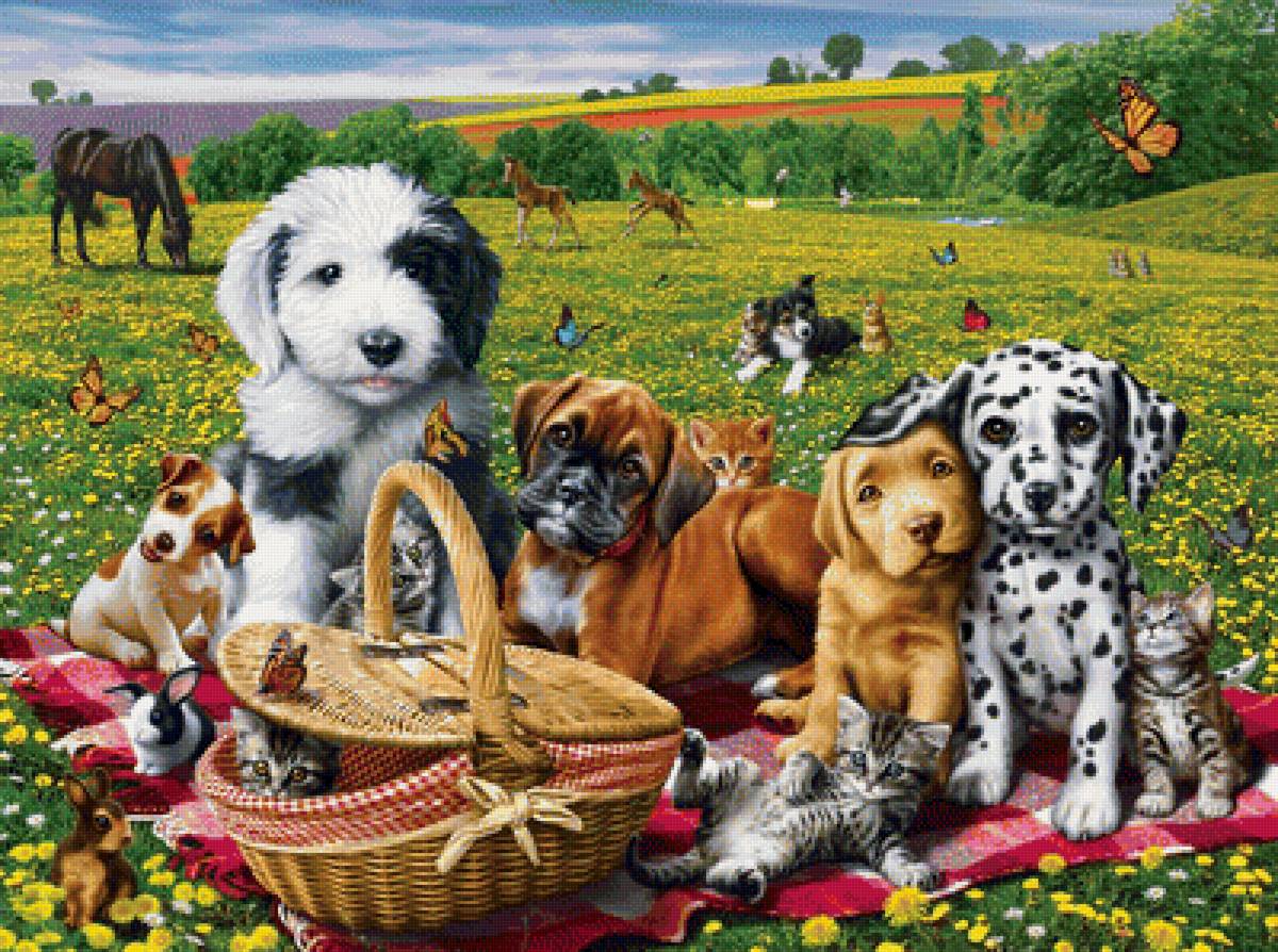 №1940309 - собаки, животные - предпросмотр