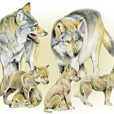 Схема вышивки «волки»