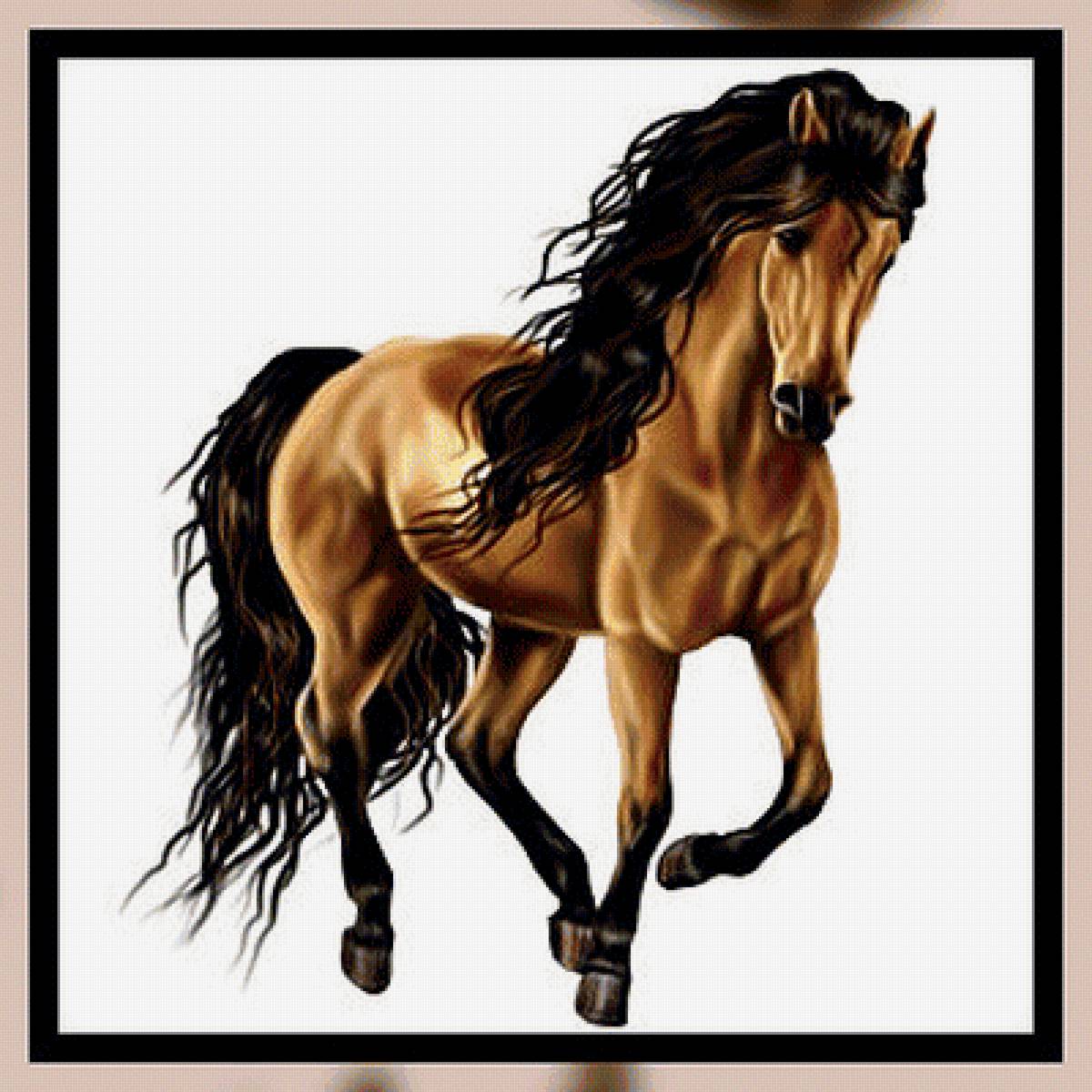 Конь. - лошадь, конь. - предпросмотр