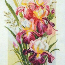 Схема вышивки «Ирис»