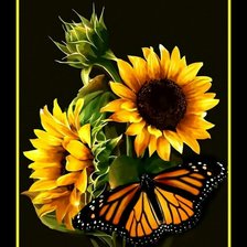Схема вышивки «Подсолнухи и бабочка.»