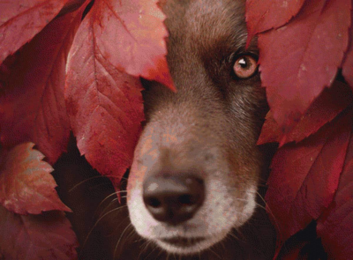 лесной сюжет - предпросмотр