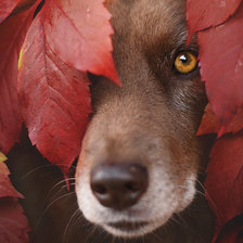 Схема вышивки «лесной сюжет»