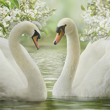 Схема вышивки «№1940997»