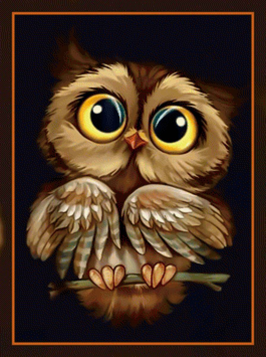 Совёнок. - сова. - предпросмотр