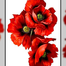 Схема вышивки «Красный мак.»