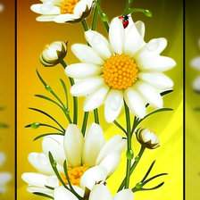 Схема вышивки «Ромашки и божья коровка.»