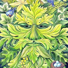 Схема вышивки «лесовик»