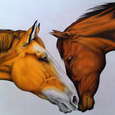 Схема вышивки «№1941646»