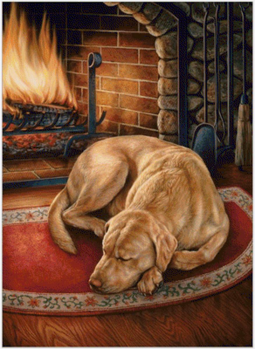 №1941661 - животные, собаки - предпросмотр