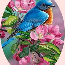 Птичка на веточке2.