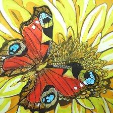 Схема вышивки «бабочка»