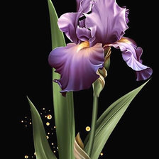 Схема вышивки «ирисы»