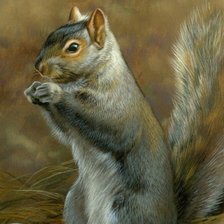 Схема вышивки «Белочка»