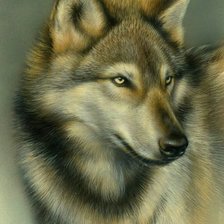 Схема вышивки «Волк»