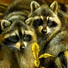 Схема вышивки «Еноты.»