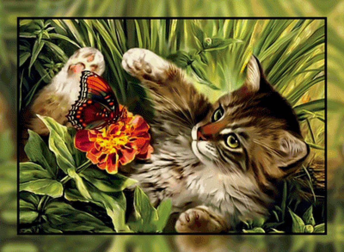 Котик и бабочка. - бабочка., котенок, кот - предпросмотр