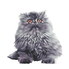 Схема вышивки «№1942009»