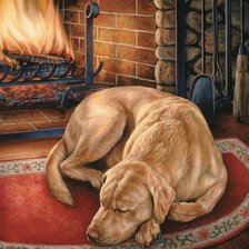 Схема вышивки «The house is where the dog is.»