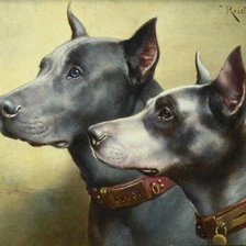 Схема вышивки «Two Great Danes.»