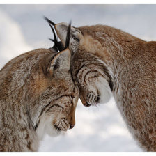Схема вышивки «лесной сюжет»