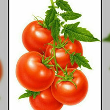 Схема вышивки «Томат.»