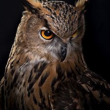 Схема вышивки «№1942430»