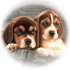 Схема вышивки «№1942706»