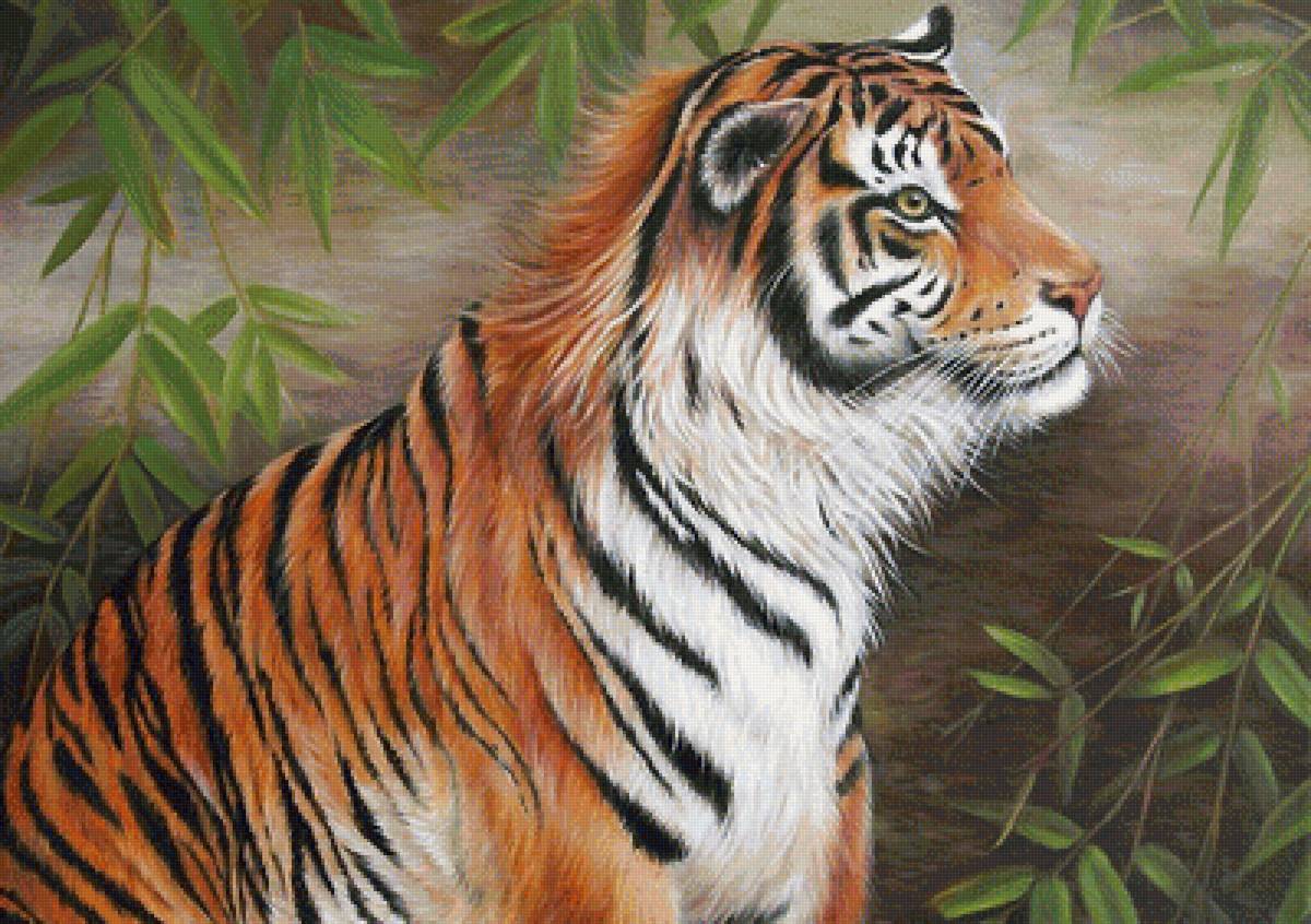 тигр - мир животных - предпросмотр