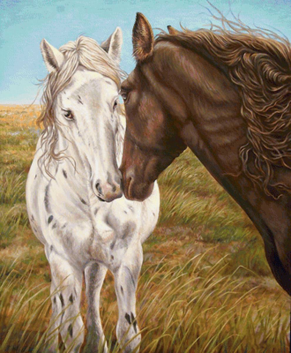 кони - мир животных - предпросмотр