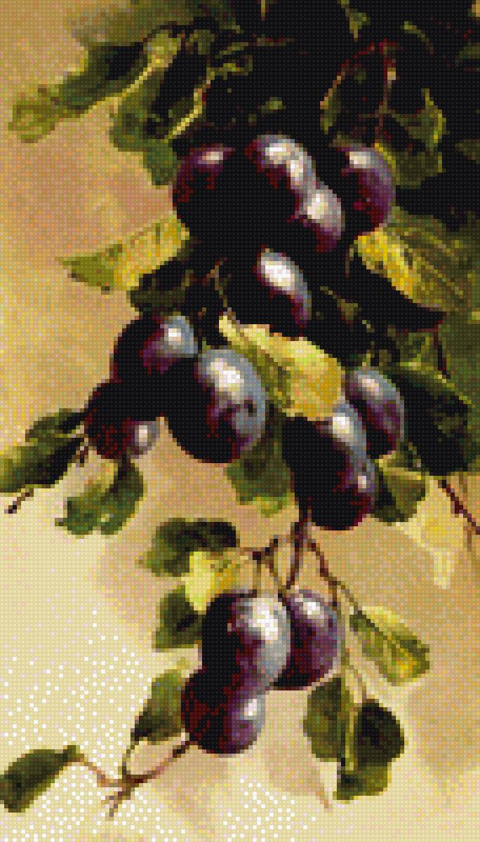 Ветка сливы - натюрморт, лето, живопись, фрукты - предпросмотр