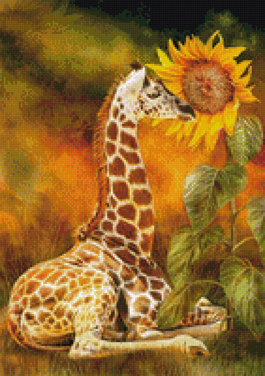 жираф с подсолнухом - жираф - предпросмотр