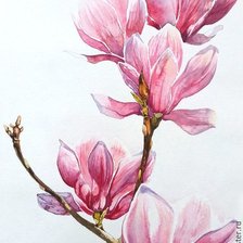 Схема вышивки «МАГНОЛИЯ»
