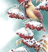 Схема вышивки «кардиналы»