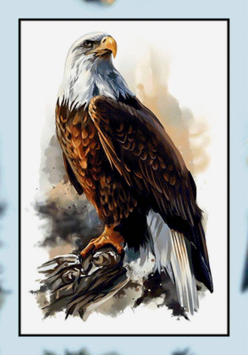 Белоголовый орёл. - хищник, рисунок., орел, птица - предпросмотр