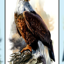Схема вышивки «Белоголовый орёл.»