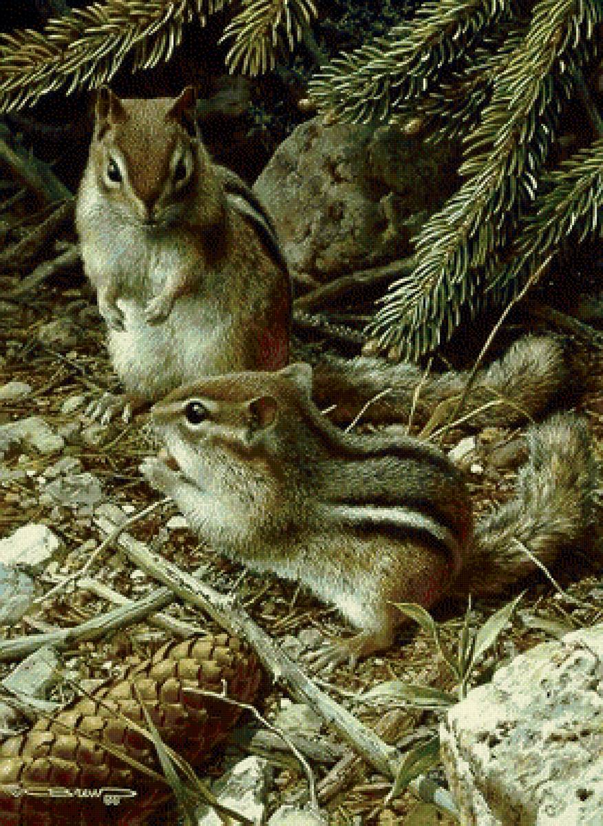 лесной сюжет - предпросмотр