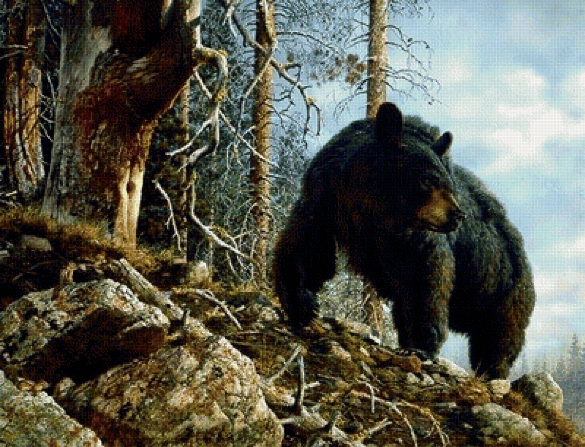 лесной сюжет - предпросмотр